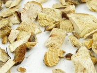 昆明山海棠