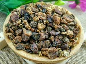 龙葵子
