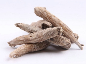 茉莉根