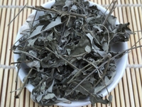 牡荆叶