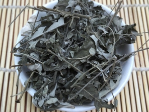 牡荆叶