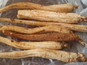 金铁锁