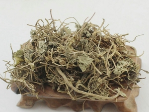 积雪草