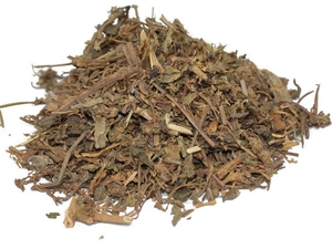 筋骨草