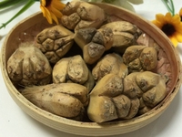 橹罟子
