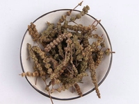 荆芥穗炭