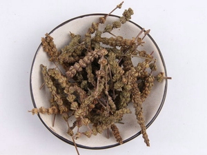 荆芥穗炭