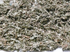 翻白草