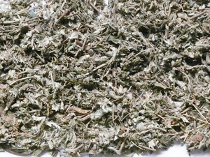 翻白草