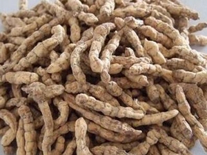 麦角