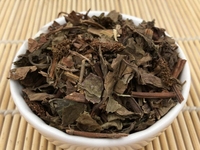 鱼腥草
