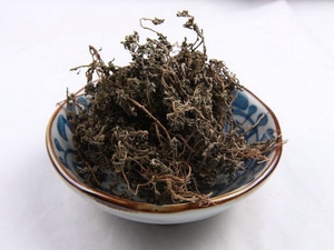 鹅不食草