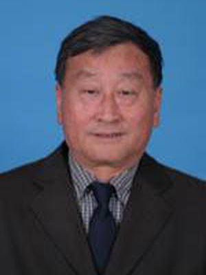 迟家敏