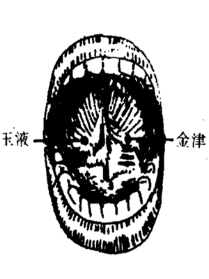 金津玉液穴