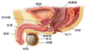 淋证