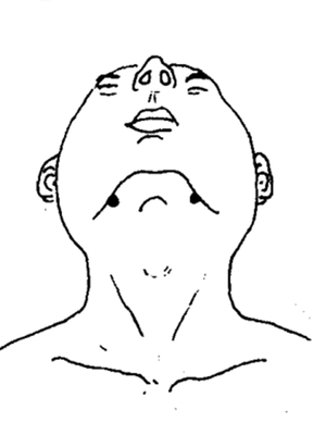 蛾根穴