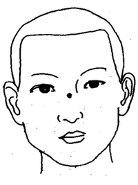 鼻交頞中穴