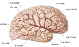 注意力缺陷多动症