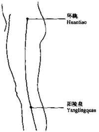 环陵
