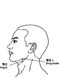增音二穴