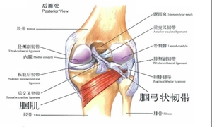 腘窝痈