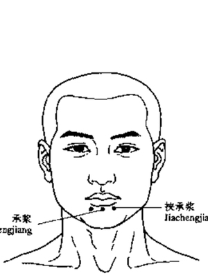三承浆