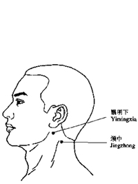 颈中二穴
