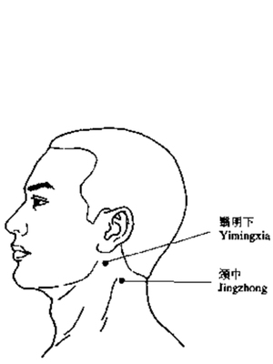 颈中二穴