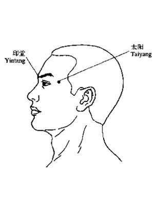 阳堂穴