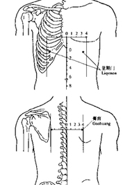 里四灵穴