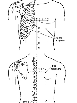 里四灵穴