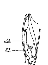 双市