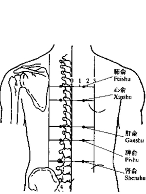 五脏俞穴