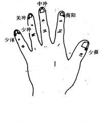 十二井穴