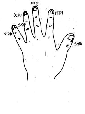 十二井穴
