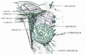 胁痛