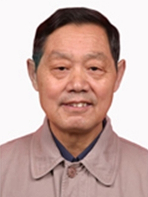袁占盈