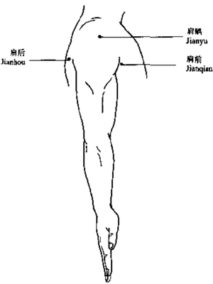 肩三针穴