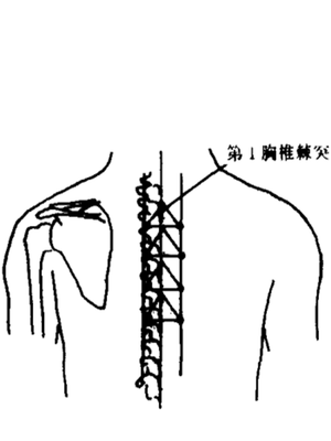 八华穴