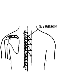 八华穴