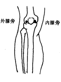内外膝旁