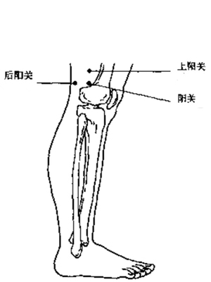 阳关三穴