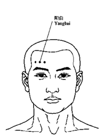 齐阳白