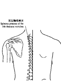 背穴