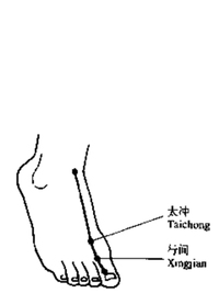 肝荥输