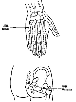溪跳