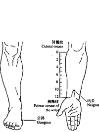 通冲维