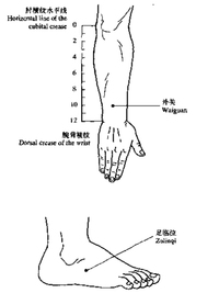 通带维