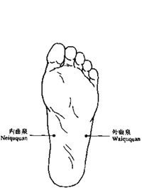 足底曲泉