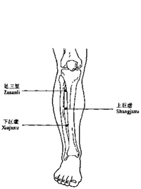 足三合